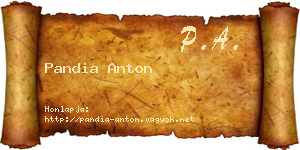 Pandia Anton névjegykártya